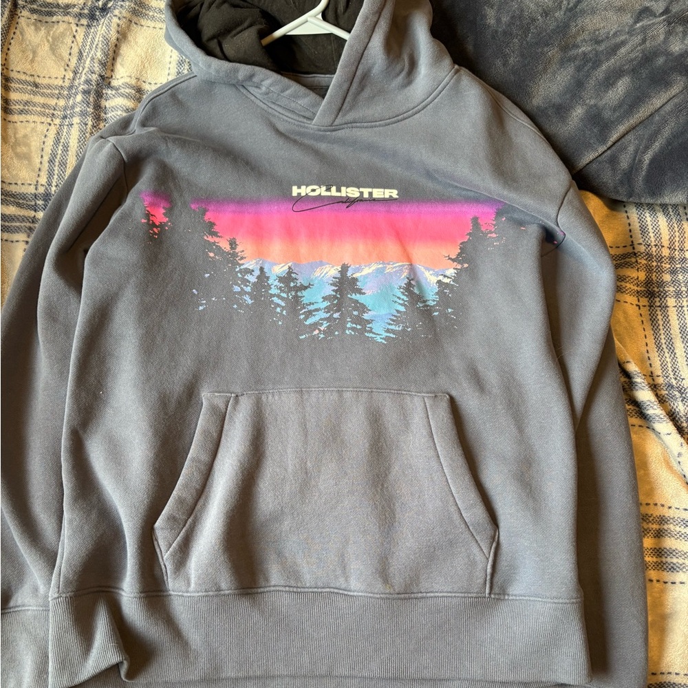 Hollister Gray Fleece-Lined Hoodie with Logo Tag